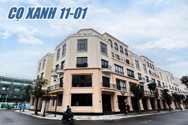 CỌ XANH 11-01 LIỀN KỀ GÓC, GẦN CÔNG VIÊN