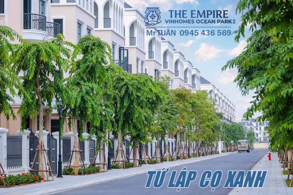 TỨ LẬP ÁP GÓC | CỌ XANH 4-41